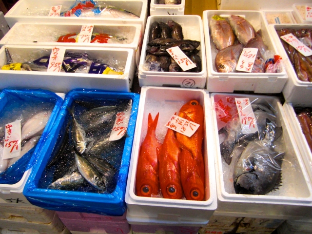 市場に並んだ魚20220830