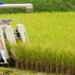 2025年9月26日週末記事、保有株が上昇し株式資産額過去最高を更新、1億4千500万円到達