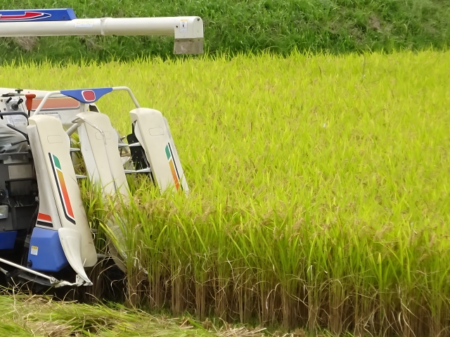 コンバインで稲刈り20250926