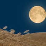 2025年9月12日、週初に過去最高を記録、週末時点の過去最高額は確保