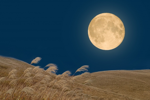 中秋の名月20250912