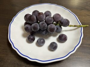 ぶどうのイメージ20251017