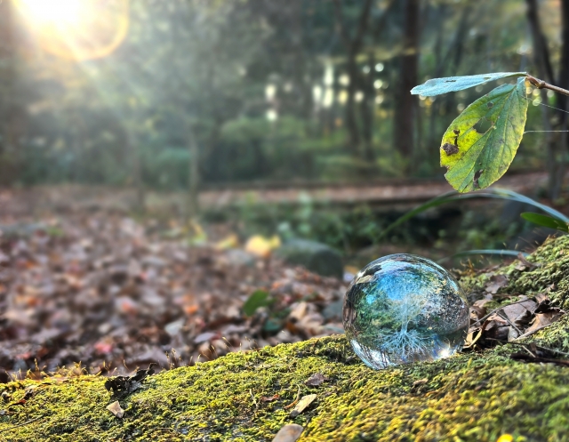 エコイメージ20260113