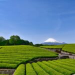 2026年2月10日記事、5営業日連続で株式資産額過去最高を更新