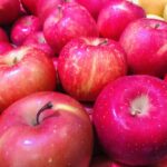 2026年2月6日週末記事、連日で資産額過去最高を更新、初めて1億6千万円に乗せる