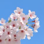 2026年2月27日週末月末記事、主要指数に後れを取るも過去最高額更新