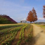 2026年2月4日記事、今年1月15日以来の資産額過去最高を更新