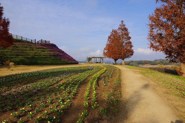 淡路島イメージ20260204