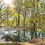 2026年2月19日記事、2営業日連続で株式資産額過去最高を更新、1億6千300万円まで増える